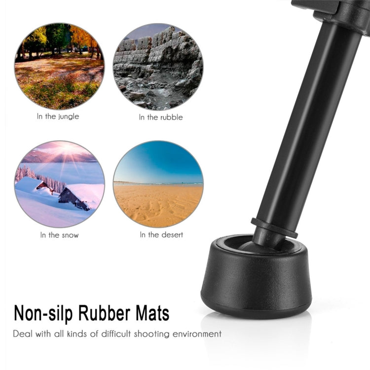 MACTREM PT55 Aluminum Alloy + ABS Camera Tripod with 3 Way 360 Degree Panhead for DSLR / SLR / Canon / Nikon / Sony / Olympus / DV Includes Carrying Case