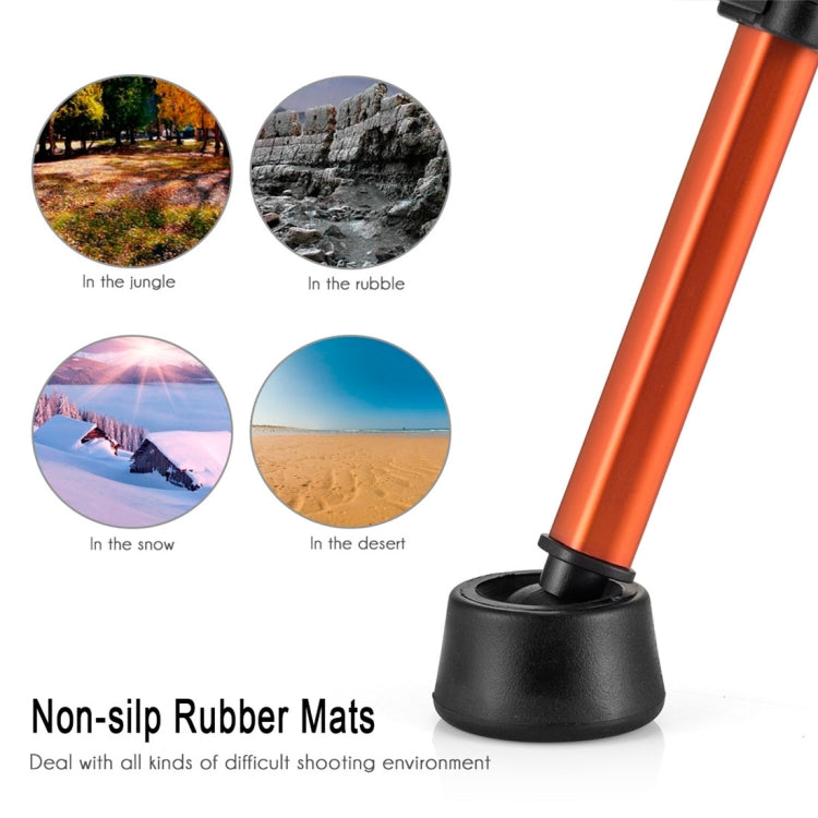 MACTREM PT55 Aluminum Alloy + ABS Camera Tripod with 3 Way 360 Degree Panhead for DSLR / SLR / Canon / Nikon / Sony / Olympus / DV Includes Carrying Case