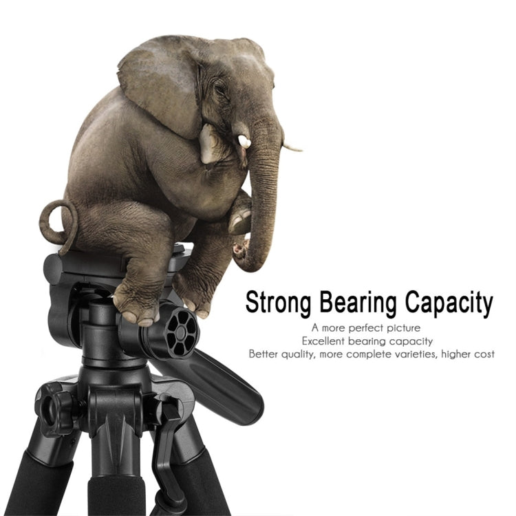 MACTREM PT55 Aluminum Alloy + ABS Camera Tripod with 3 Way 360 Degree Panhead for DSLR / SLR / Canon / Nikon / Sony / Olympus / DV Includes Carrying Case