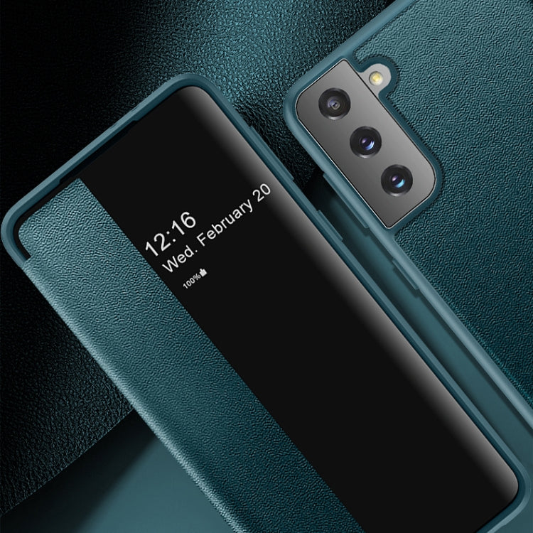 For Samsung Galaxy S21+ 5G Magnetic Side Window View Shockproof Horizontal Flip Leather Case