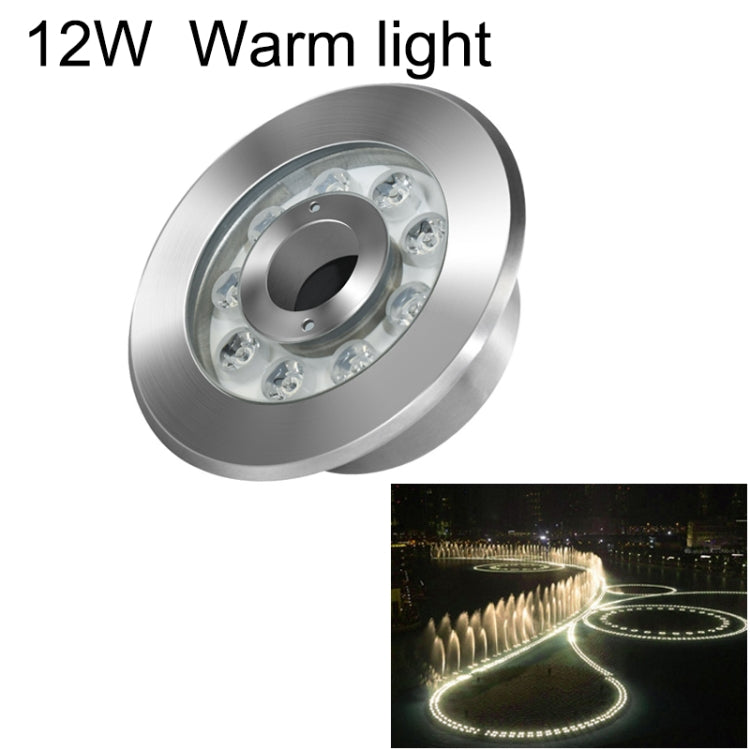 12W Landscape Ring LED Stainless Steel Underwater Fountain Light