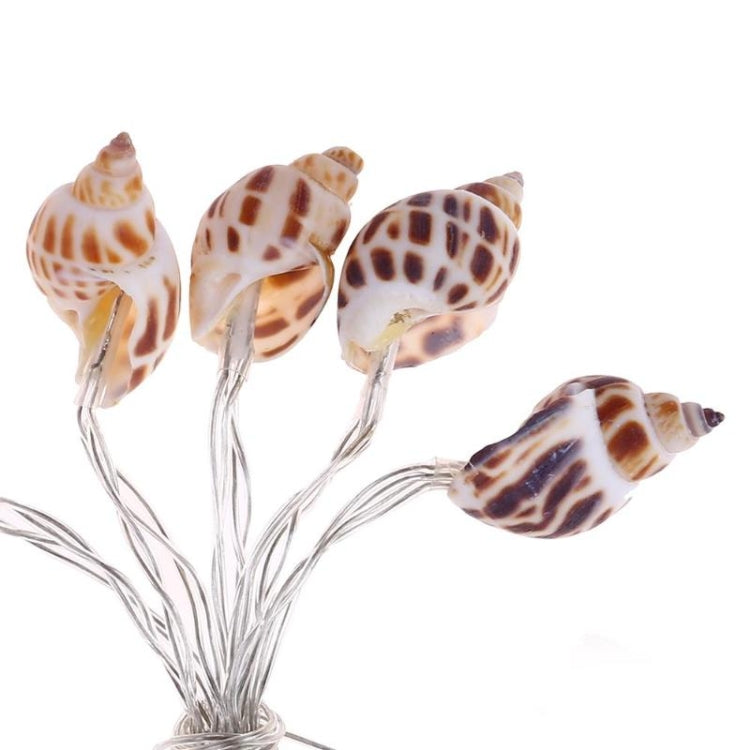 Home Interior Decoration Atmosphere String Lights LED Conch Decorative Lantern, Specification:1m 10 LEDs Battery Case
