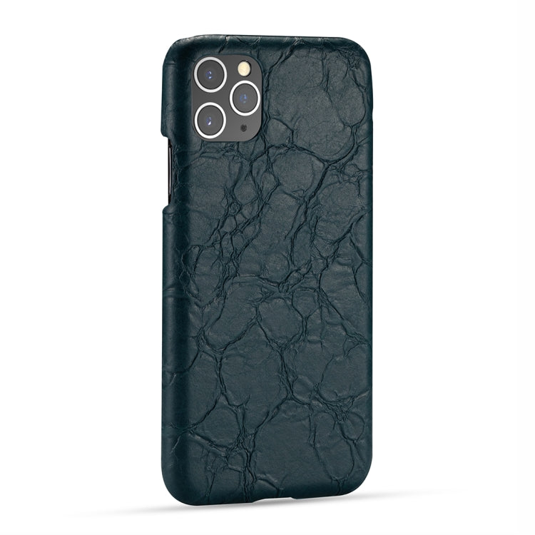 For iPhone 11 Pro Retro Dragon Texture Phone Case