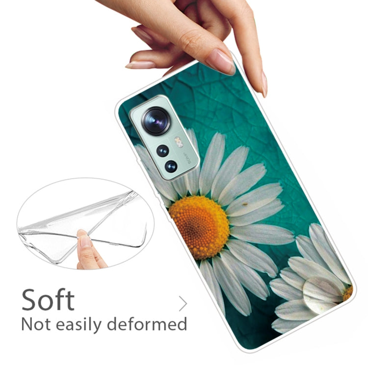 For Xiaomi 12 Pro Painted Transparent Shockproof TPU Protective Phone Case