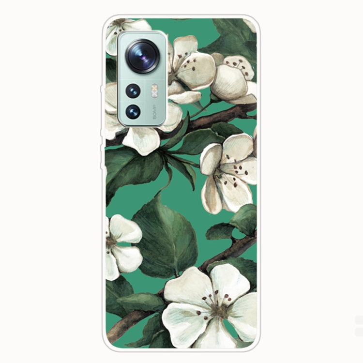 For Xiaomi 12 Pro Painted Transparent Shockproof TPU Protective Phone Case