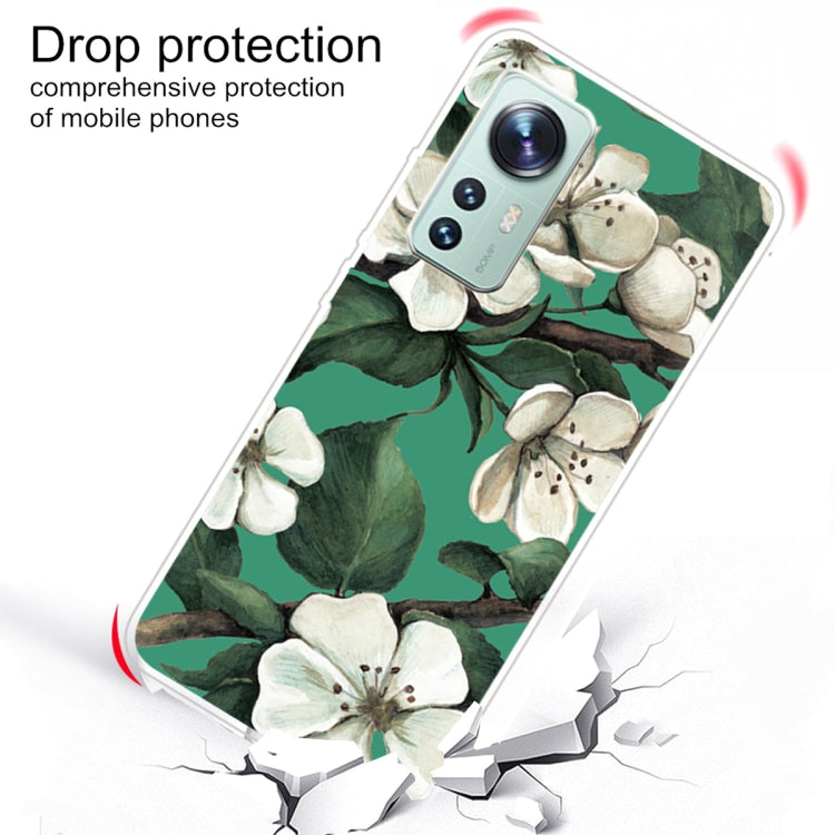 For Xiaomi 12 Pro Painted Transparent Shockproof TPU Protective Phone Case