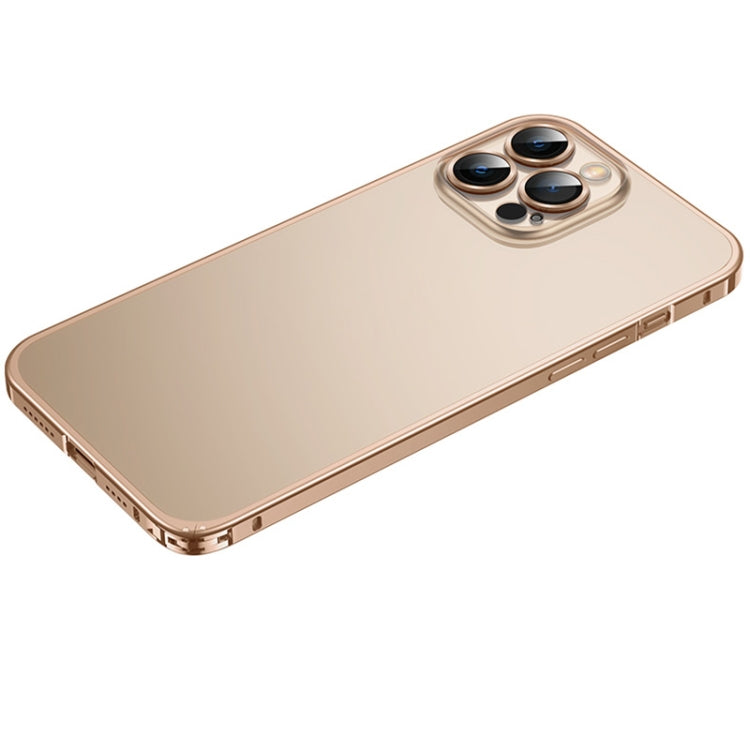 For iPhone 12 Pro Frosted Phone Case with Lens Protection