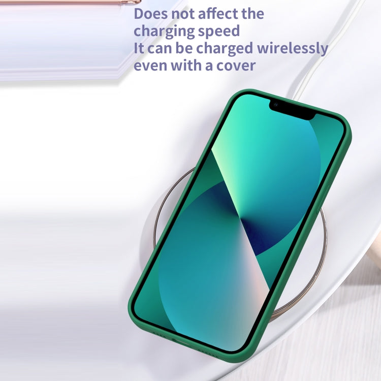 For iPhone 12 Eagle Eye Lens Oily Feel TPU + PC Phone Case