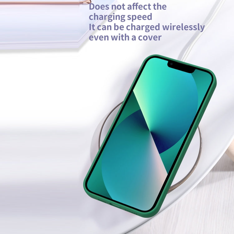 For iPhone 12 Pro Eagle Eye Lens Oily Feel TPU + PC Phone Case