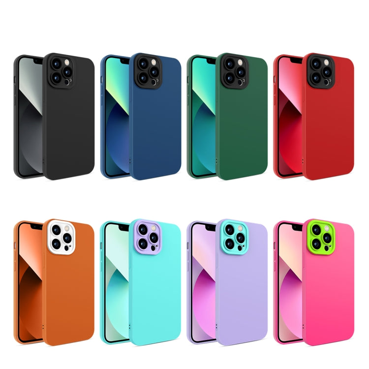 For iPhone 13 Pro Max Eagle Eye Lens Oily Feel TPU + PC Phone Case