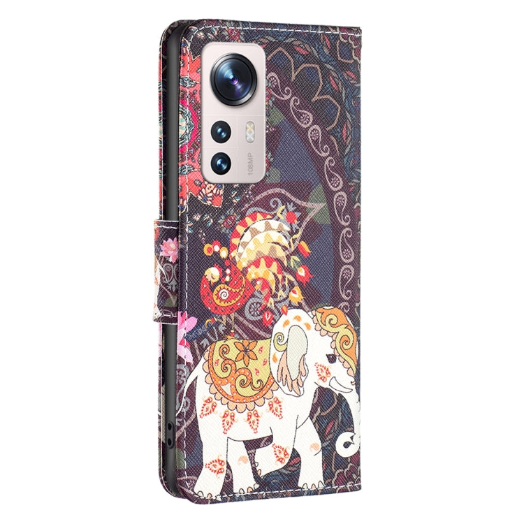 For Xiaomi 12 Lite Colored Drawing Leather Phone Case