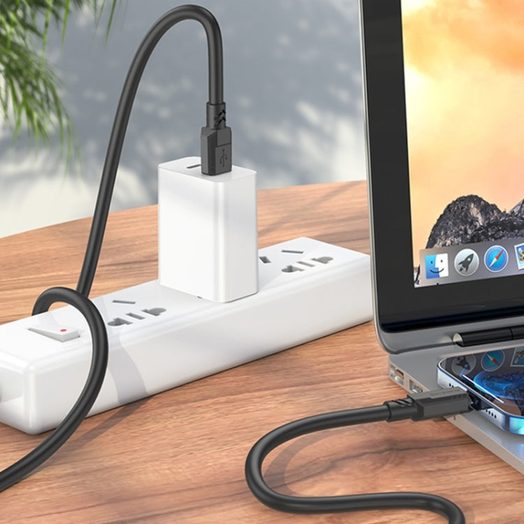 Borofone BX81 2.4A USB-C to 8 Pin Goodway Charging Data Cable, Length:1m