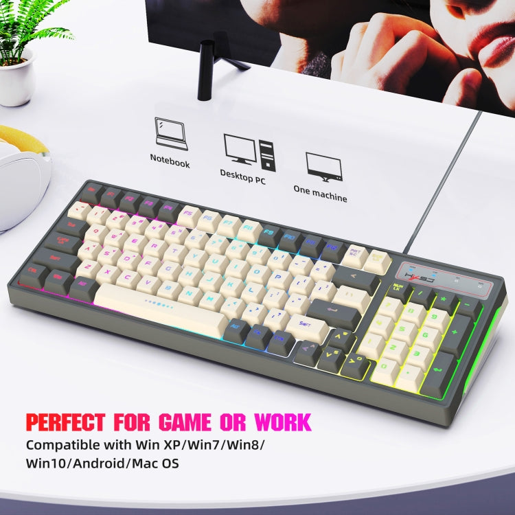 HXSJ V600 96-key RGB Backlit Dual-color Injection-molded Wired Gaming Keyboard