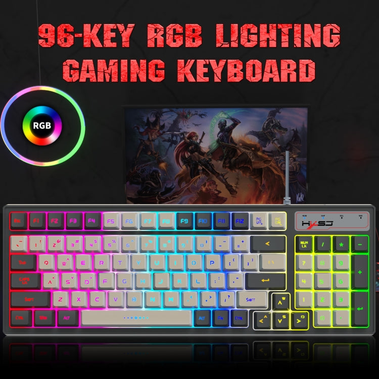 HXSJ V600 96-key RGB Backlit Dual-color Injection-molded Wired Gaming Keyboard