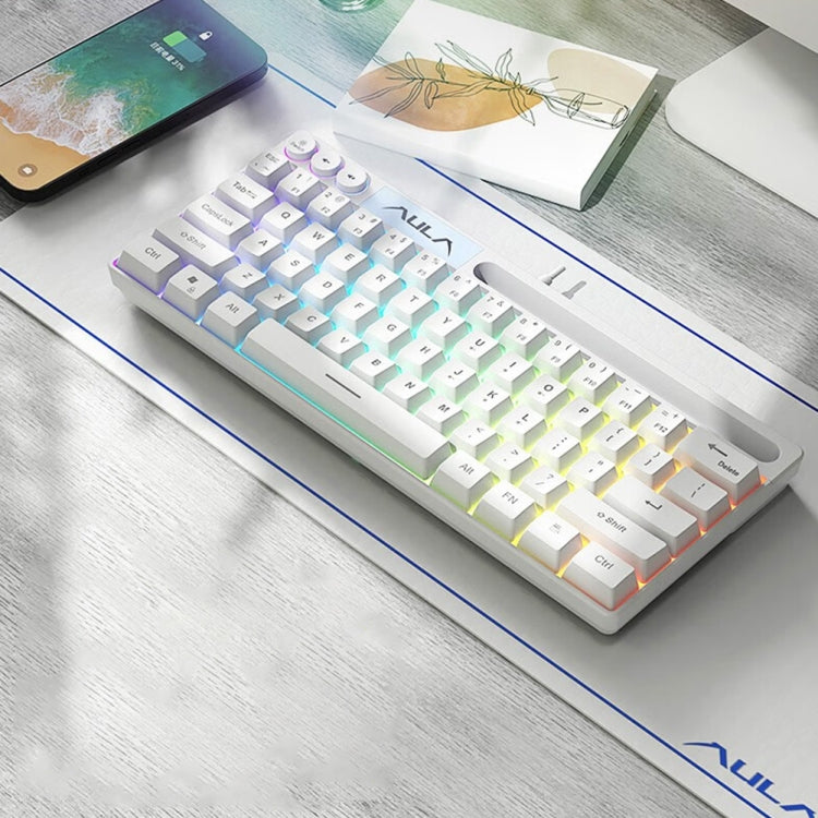 AULA F3061 Wired Mini RGB Backlit Mechanical Keyboard