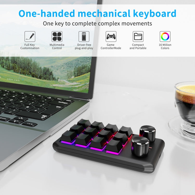 Bluetooth Wireless 12KV2 MOLD Mini Mechanical 12 Keys 2 Knob Custom Programming Keyboard