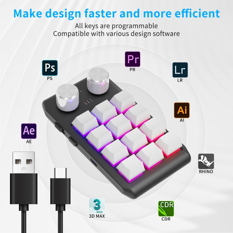 Bluetooth Wireless 12KV2 MOLD Mini Mechanical 12 Keys 2 Knob Custom Programming Keyboard