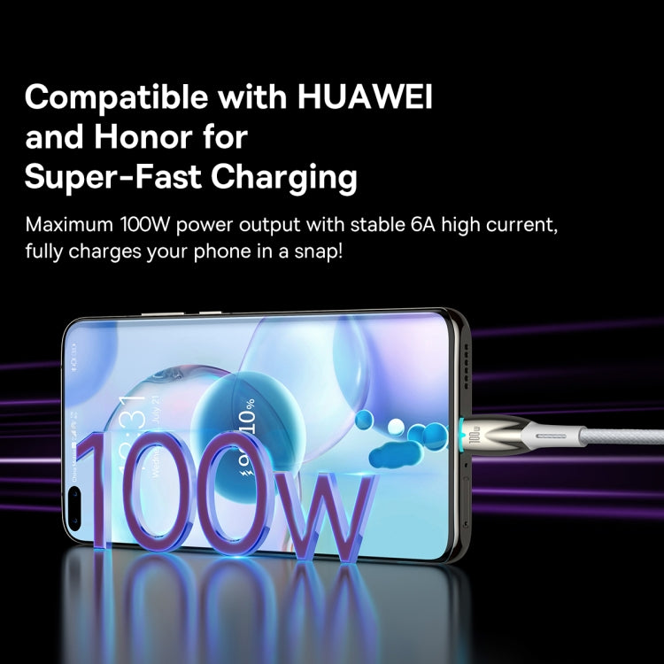 Baseus Lamp Ring Series 100W USB to USB-C/Type-C Fast Charge Data Cable, Length: 1m