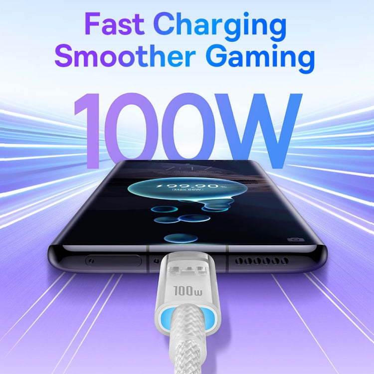 Baseus Explorer Series 100W USB-C / Type-C to USB-C / Type-C Smart Temperature Control Fast Charging Data Cable, Length: