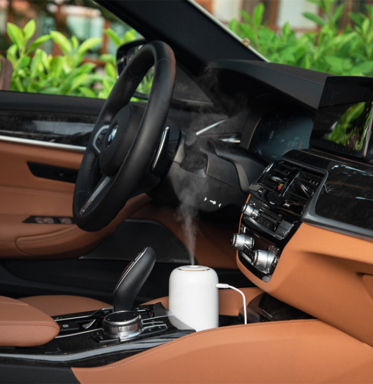 Car Household Mini Humidifier Foggy Multi-function Portable Atomizer with Battery