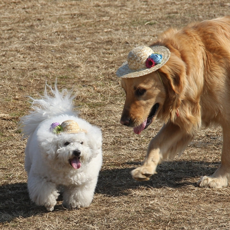 Outdoor Walking Pet Straw Hat,