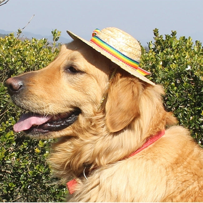 Outdoor Walking Pet Straw Hat, Size: L (Inner Diameter: 10cm) (One Flower)