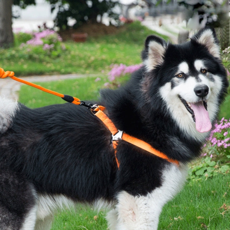 Pet Dog Collar + Harness + Leash Three Sets, L, Harness Chest Size: 57-90cm, Collar Neck Size: 40-64cm, Pet Weight: 35kg Below
