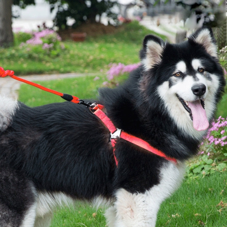Pet Dog Collar + Harness + Leash Three Sets, L, Harness Chest Size: 57-90cm, Collar Neck Size: 40-64cm, Pet Weight: 35kg Below