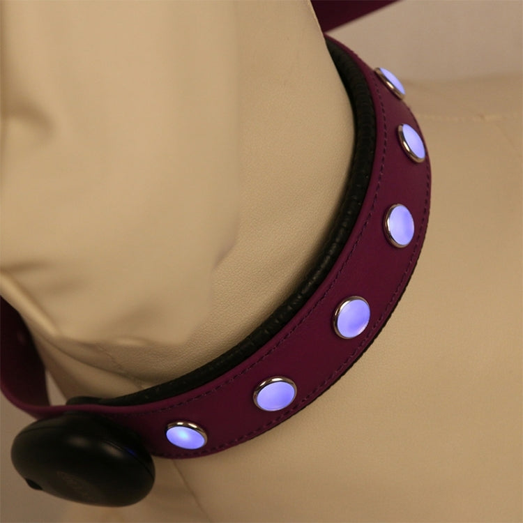 PVC Material Waterproof LED Light Adjustable Collar USB Rechargeable Pet Dogs Collar, Collar Size: 65*2.5 cm