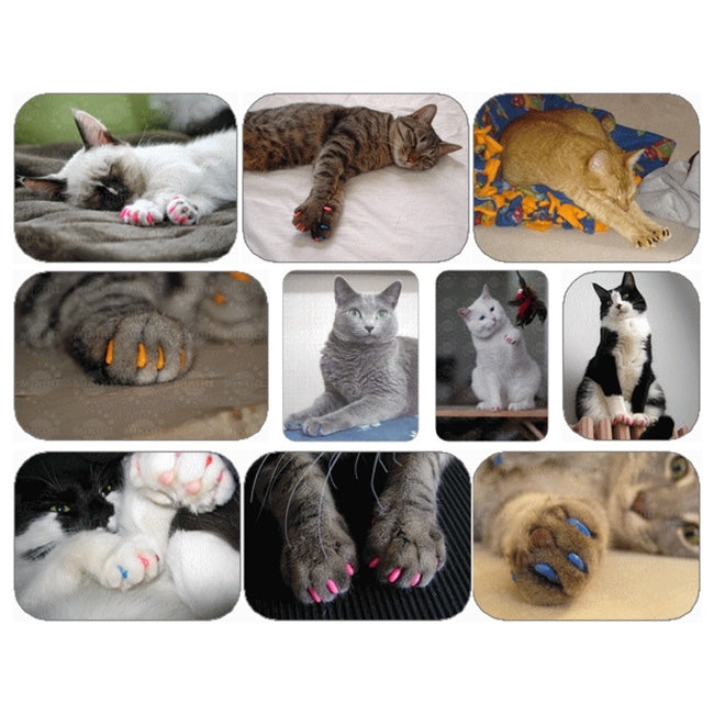 20 PCS Decorative Glitter Powder Furniture Protecting Pet Nail Covers, Size: XS (for 0.5-2.5kg Pets)(Pink)