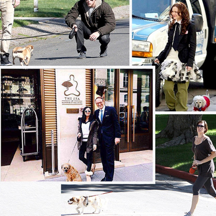 Pet Dogs PP Cruciferae Cushion Round Rope Nylon Neoprene Padding Pets Traction Lead Leash, Size: 1.2*120cm