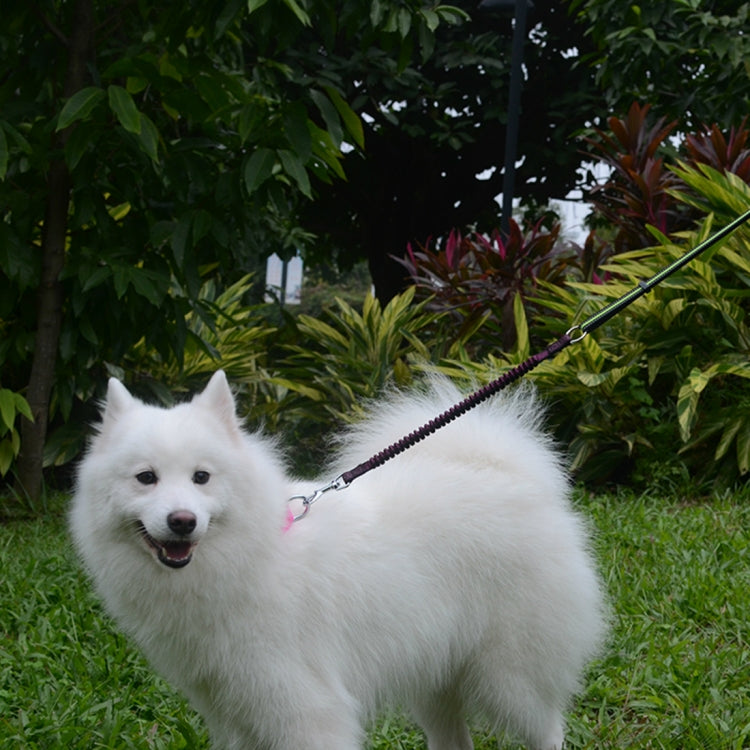 New Style Pet Dogs Nylon Reflective Handheld Rope Adjustable Telescoping Traction Lead Leash, Size: L, Width: 25mm