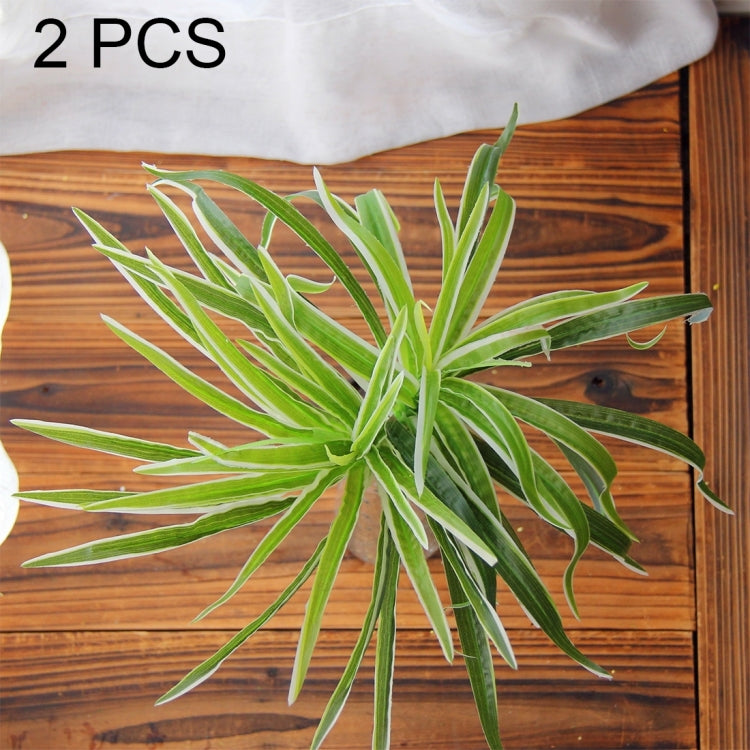 2 PCS Artificial Plants For Plastic Flowers Household Store Supplies Decoration Sabaigrass With White