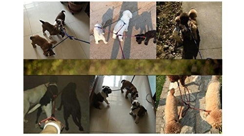 Pet Dog Nylon 3 in 1 Traction Rope Pet Walking Leads With Handle, Length: 124cm