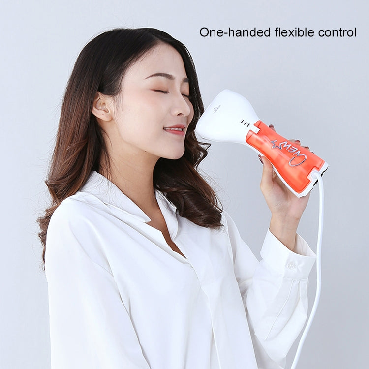 LORDNINO HI-100 220V Multifunctional Detachable Hand-held Garment Steamer