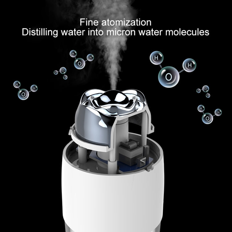 WT-H19 Rose Atomizing Humidifier with Colorful Night Lights, Water Tank Capacity: 230mL