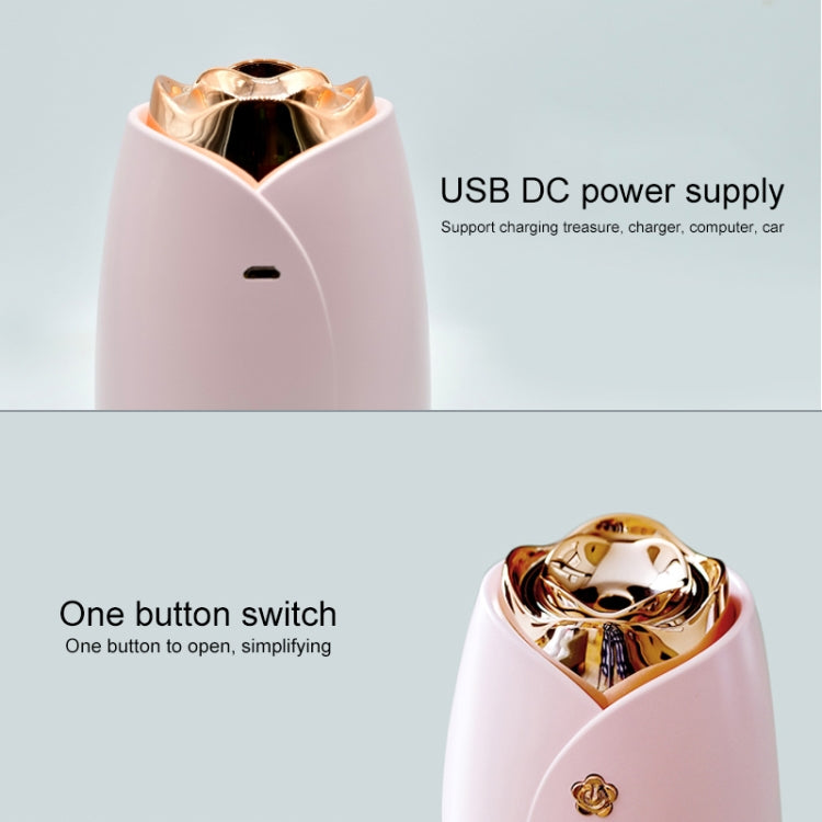 WT-H19 Rose Atomizing Humidifier with Colorful Night Lights, Water Tank Capacity: 230mL