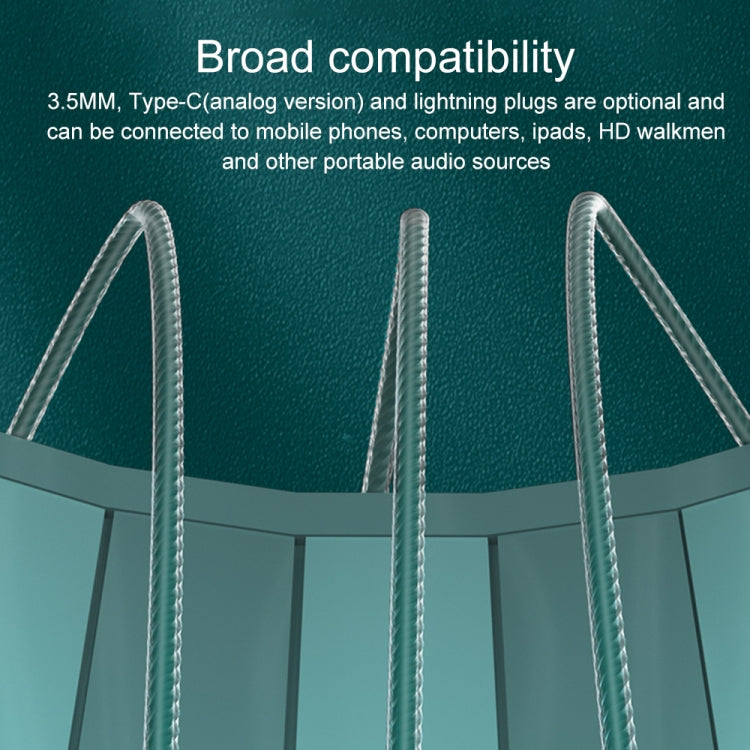 WK YB08 Black Gold Series USB-C/Type-C Music Call Wired Earphones, Length: 1.2m