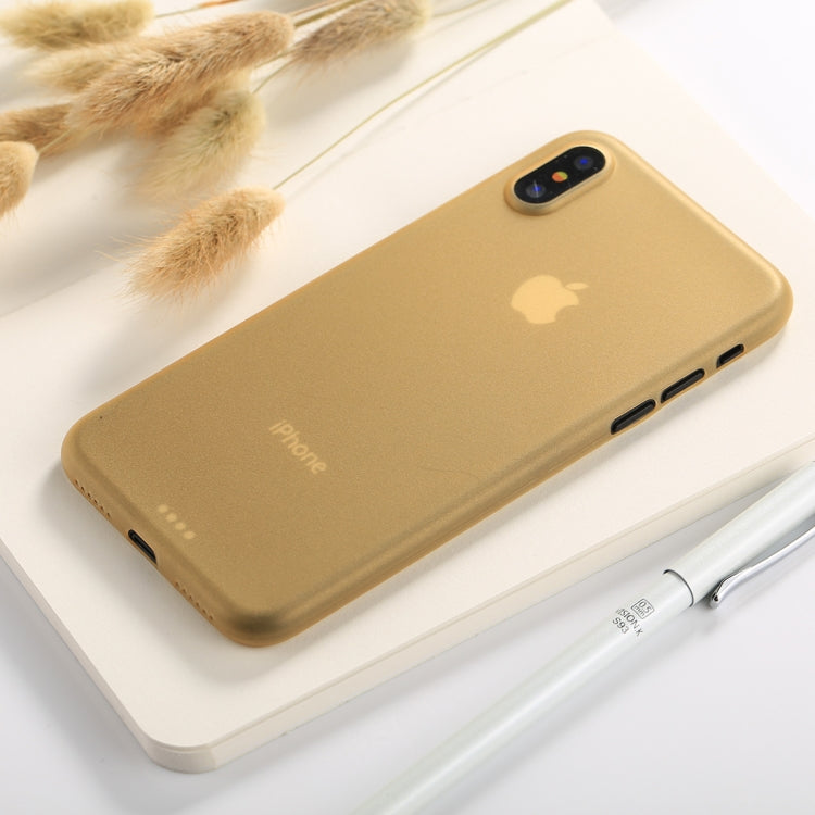 For iPhone X / XS Ultra-thin Frosted PP Protective Back Cover Case