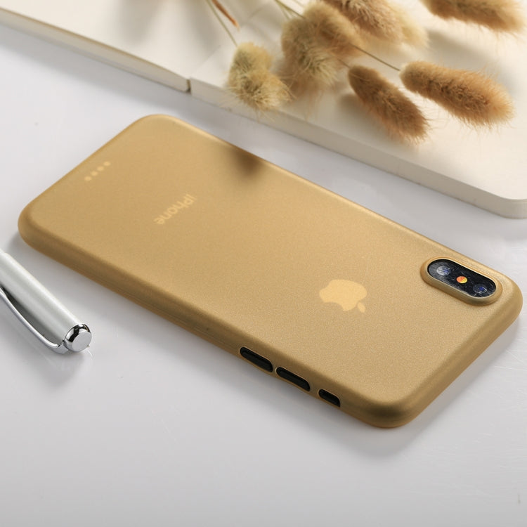 For iPhone X / XS Ultra-thin Frosted PP Protective Back Cover Case