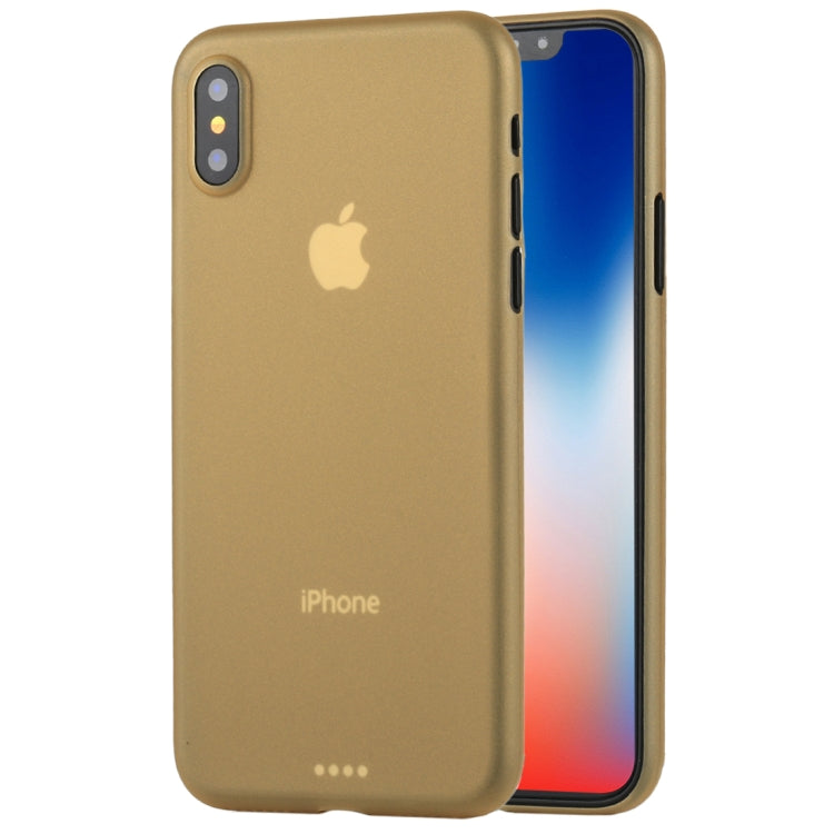 For iPhone X / XS Ultra-thin Frosted PP Protective Back Cover Case