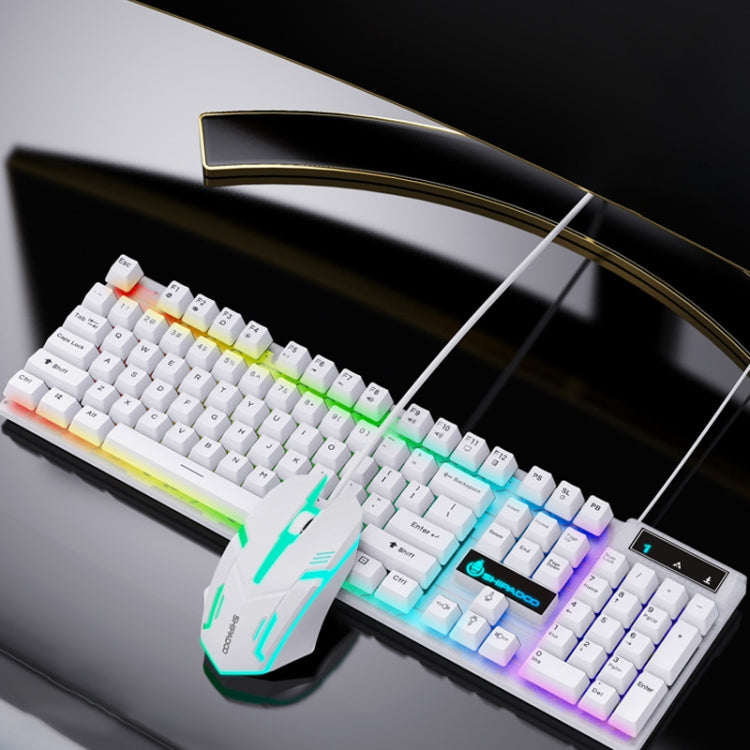 D500 RGB Brilliant Backlight Mouse and Keyboard Set