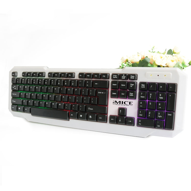 iMICE AN-300 Office Home Waterproof Dustproof Backlit Gaming Keyboard(Black)