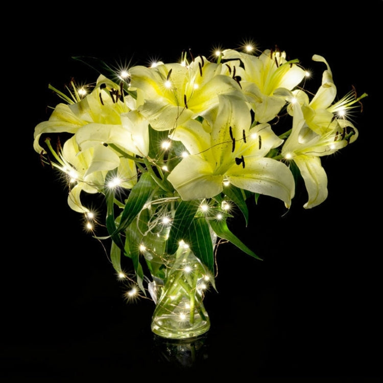 2m 100LM LED Copper Wire String Light,