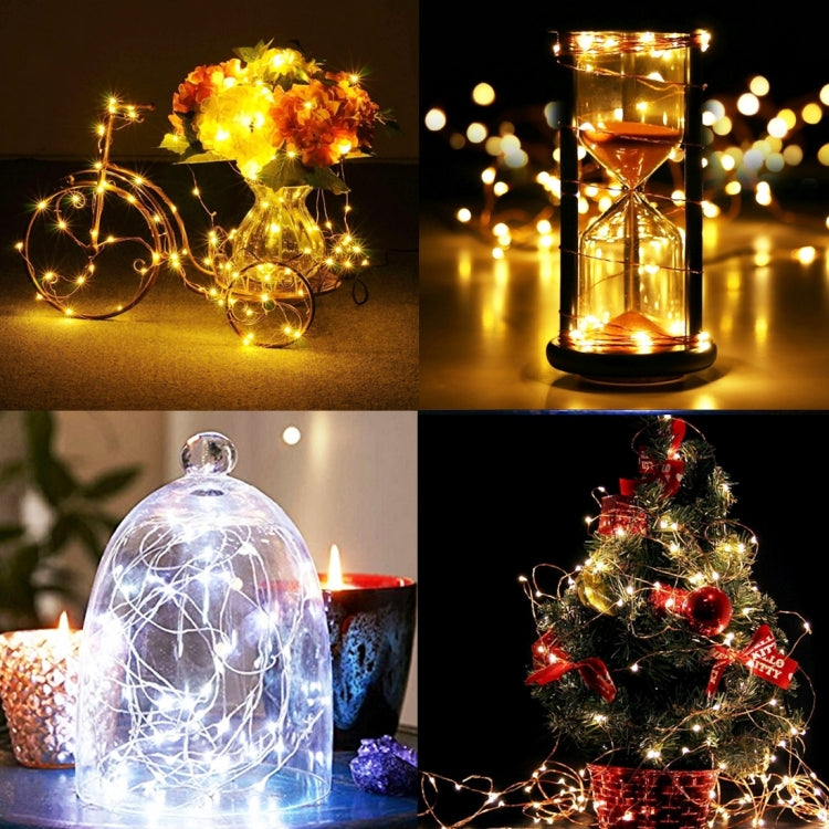 2m 100LM LED Copper Wire String Light,