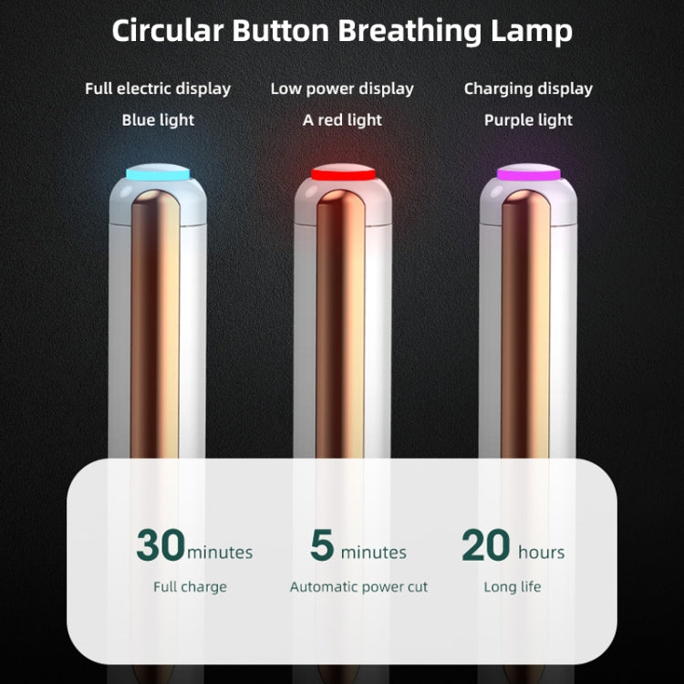 Q10 Pro Anti-mistouch Capacitive Stylus Pen