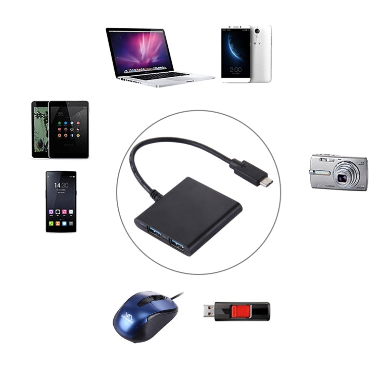 USB-C / Type-C 3.1 to 2 USB 3.0 Ports HUB + SD / TF Card Reader for MacBook Tablet PC, Google, Microsoft, Xiaomi, Letv Smartphones, Length: about 20cm