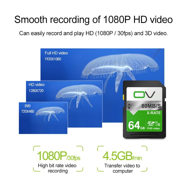 OV 64GB 10/80 W/R High Speed Class10 FHD Video SD Card