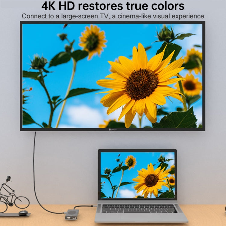 Basix T15 15 in 1 USB-C / Type-C to HDMI + VGA + USB 3.0x4 + USB 2.0x3 + SD + TF + RJ45 + PD + 3.5 Audio + 10W Converter