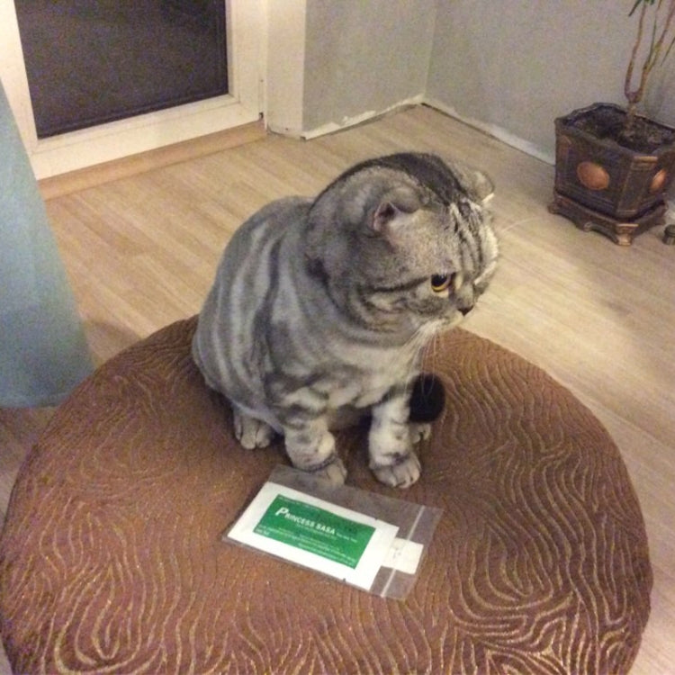 Pet Home Health Detection Fever Virus Test Card Feline Cat FPV Test Paper